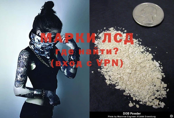 ECSTASY Белокуриха