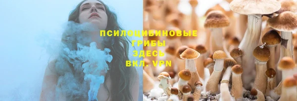 прущий лед Богородск