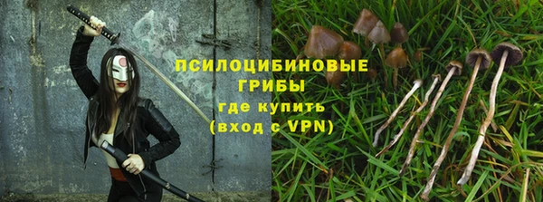 ECSTASY Белокуриха