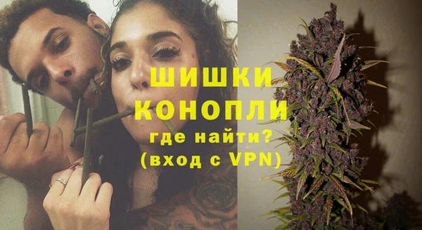 ECSTASY Белокуриха