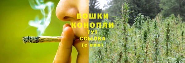 ECSTASY Белокуриха