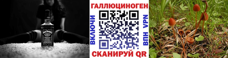 цены   даркнет официальный сайт  Галлюциногенные грибы Cubensis  Химки 